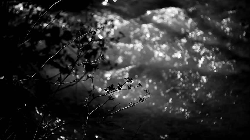 A torrent rushes through the film in black and white