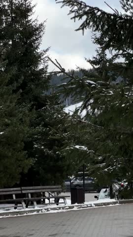 A winter scene at a mountain resort featuring wooden cabins surrounded by evergreen trees and light snowfall, with paved walkways and picnic areas visible through the scenic forest setting.