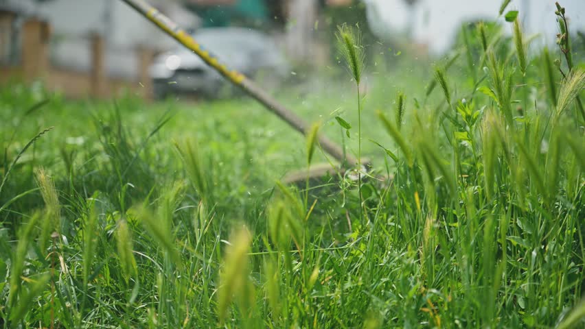 Lawn trimming with handheld string trimmer grass cutter and mower, 4K slow motion 120 fps with selective focus