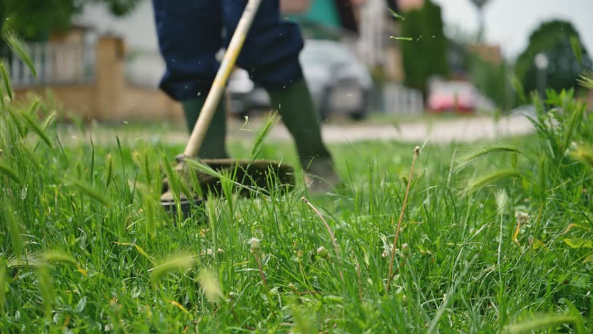 Lawn trimming with handheld string trimmer grass cutter and mower, 4K slow motion 120 fps with selective focus