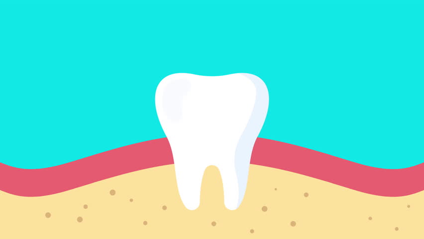 Shutterstock Video