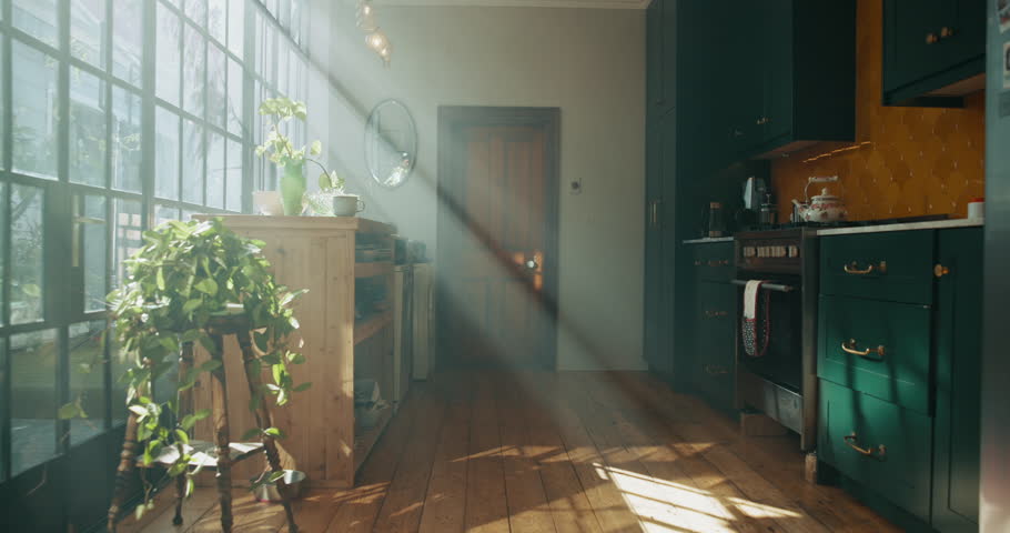 Empty, house and plants in kitchen, furniture and eco friendly with sunlight, window and real estate. Apartment, interior design and property with decor in morning, rental and architecture of home