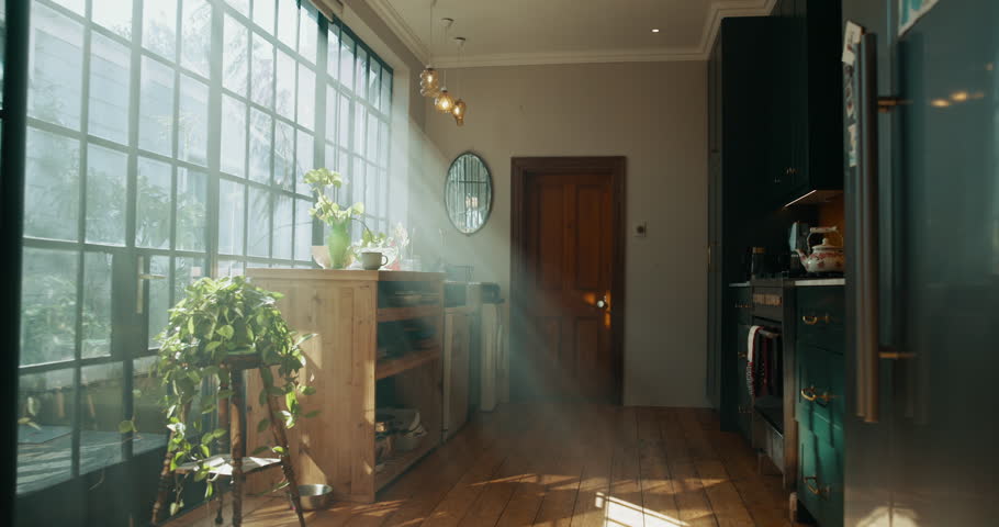 Empty, house and plants in kitchen, furniture and eco friendly with sunlight, window and real estate. Apartment, interior design and property with decor in morning, rental and architecture of home