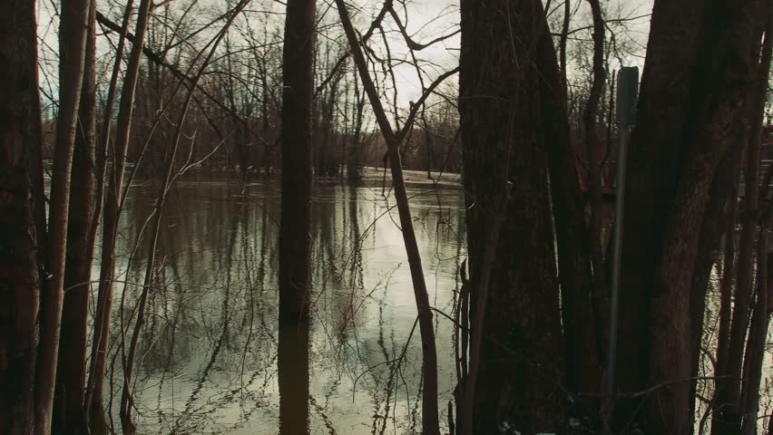 river, bridge, flood, water, nature, town, spring, natural, city, wooden, port, csongrad, pier, tisza, hungary, march, hungarian, cold, sunshine, harbour, landscape, park, austria, outdoor, 