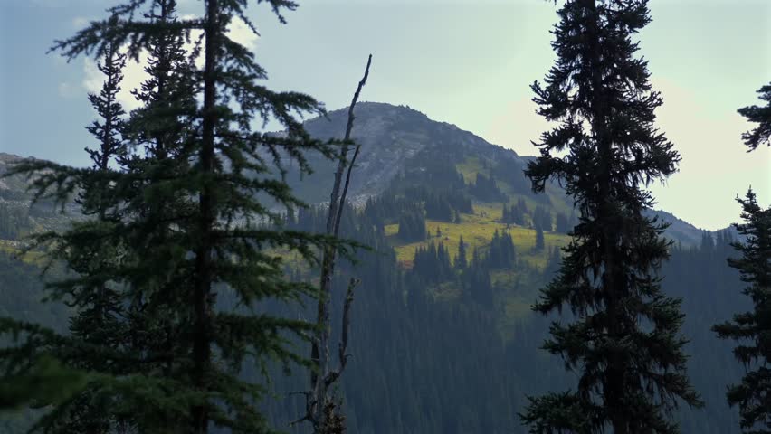 Marriott Basin Trail Mountain Views Near Wendy Thompson Hut In British Columbia, Canada. Static Shot