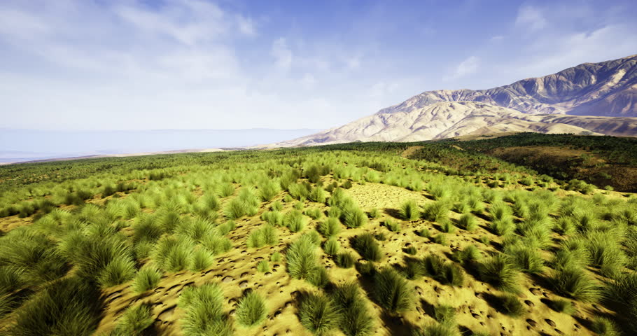 Expansive greenery blankets the landscape, with small shrubs and grass covering the ground. Majestic mountains rise in the background under bright blue skies.