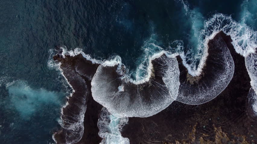 Shutterstock Video