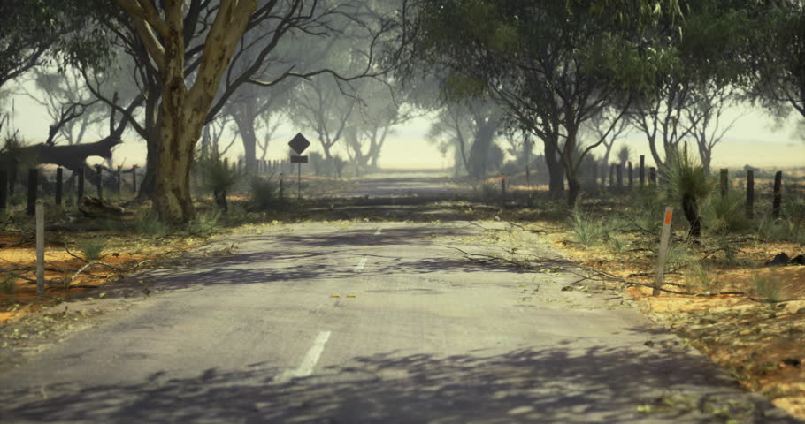 A winding road stretches through a tranquil landscape, surrounded by tall trees and scattered shrubs under a bright sky. The scene exudes calmness and natural beauty.