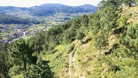 Men walking dog on hiking trail in forest aerial view - Powered by Shutterstock - Get 15% off with code: PIKWIZARD15