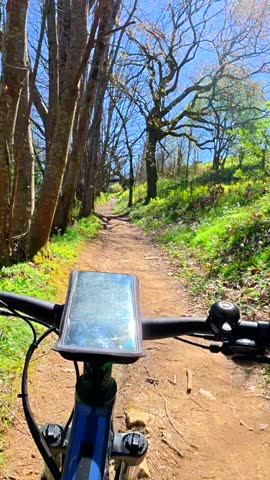 Mountain biker riding scenic forest trail, enjoying springtime sunshine while pedaling through verdant natural landscape