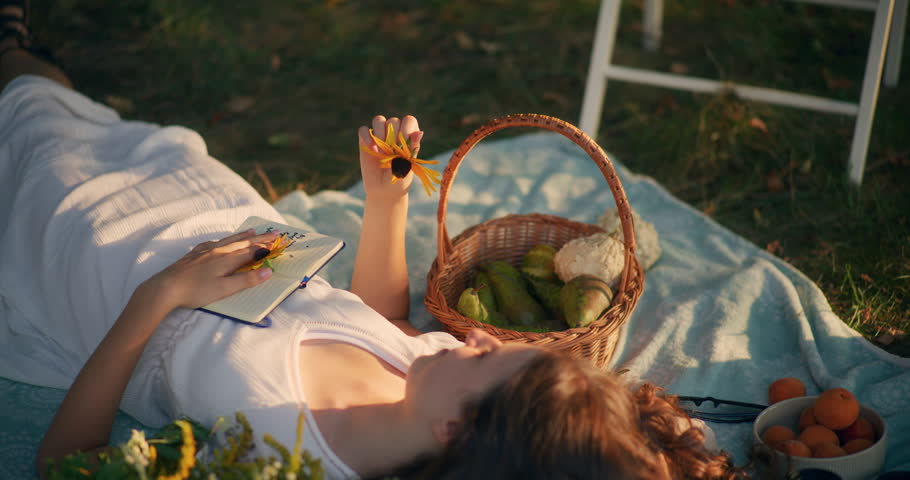A young girl lies on a picnic blanket in a sunny field surrounded by nature