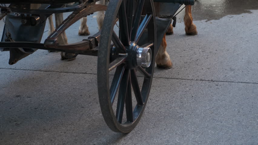 Horse waiting and resting while attached to a carriage. Brown horse harnessed to a classic carriage, patiently waiting for the next ride.