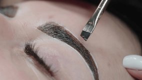 Close-up of a beautician applying eyebrow tint using a flat brush, carefully shaping the brow with dark dye during a professional beauty treatment session.
 - Powered by Shutterstock - Get 15% off with code: PIKWIZARD15