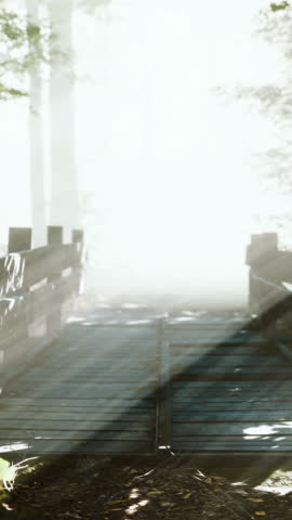 Wooden bridge in the forest in the fog