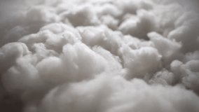Cotton in a cotton field in the early morning, close up of cotton filaments, cotton threads are wound into textile thread, textile machines produce yarn, thus producing soft, flowing fabric. - Powered by Shutterstock - Get 15% off with code: PIKWIZARD15