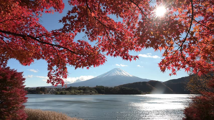 Mount Fuji reflecting in Kawaguchiko lake, framed by red autumn leaves and sun shining through them