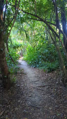 Hike in Morro de São Paulo