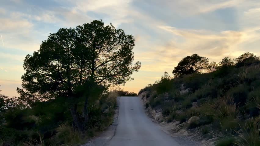 Imagine a tranquil view of a winding road that leads gently uphill, beautifully surrounded by nature at sunset
