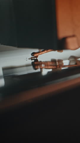 Vinyl Record Player: Stylus Needle Touching Grooves, Playing Melody. Vinyl Record Rotating On Turntable with Retro Atmosphere. Vintage Sound Equipment for Classic Music. Macro Close Up. Vertical Shot.