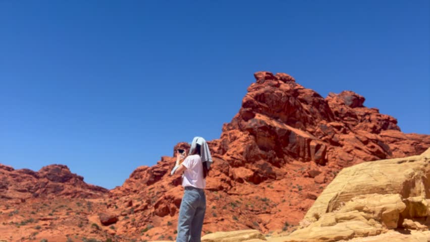 Shutterstock Video