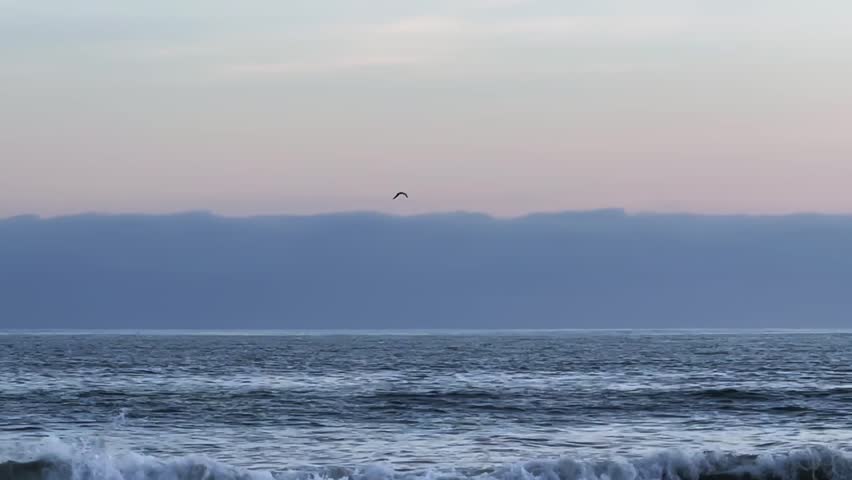 Ocean Horizon at Dusk with Distant Bird Flying Over Calm Waves