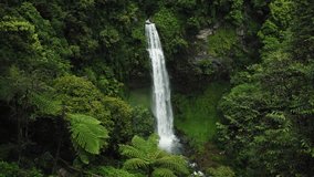 Waterfall in Indonesian tropical rainforest - Powered by Shutterstock - Get 15% off with code: PIKWIZARD15