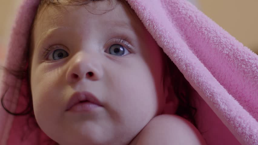 Shutterstock Video