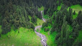 beautiful ariel shot over the mountain valley with glacial river flowing swiftly and mountains are covered with monsoon vegetation and pine trees in the mountains - Powered by Shutterstock - Get 15% off with code: PIKWIZARD15