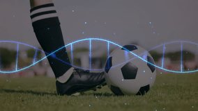DNA strand animation over soccer player preparing to kick ball on field. Biotechnology, genetics, sports, athlete, digital, simulation - Powered by Shutterstock - Get 15% off with code: PIKWIZARD15