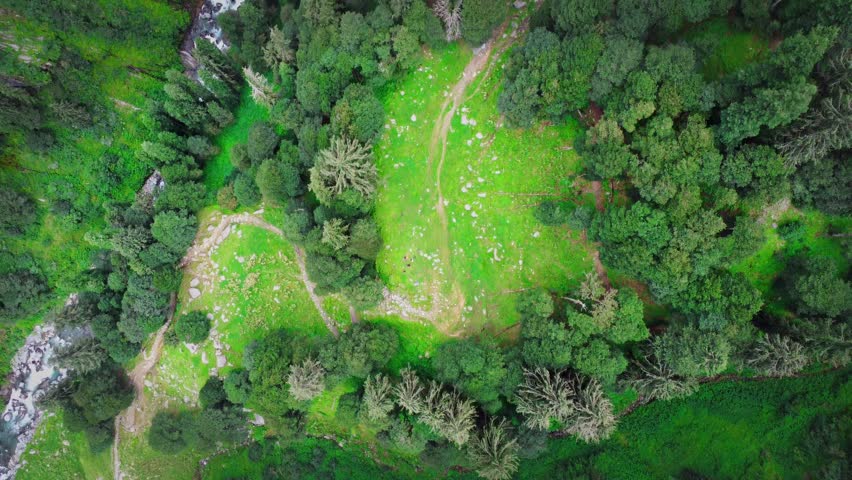 beautiful ariel shot over the mountain valley with glacial river flowing swiftly and mountains are covered with monsoon vegetation and pine trees in the mountains