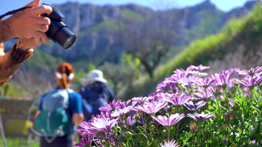 Person taking photos to purple flowers and enjoying a spring day outdoors.
