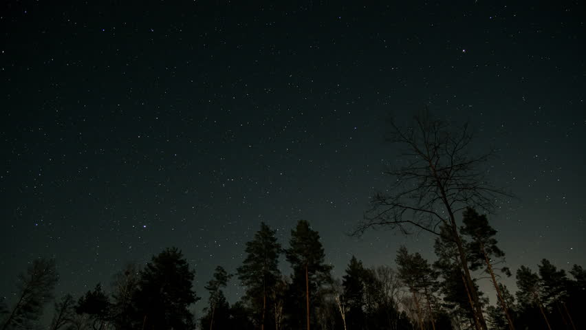 A mesmerizing long-exposure photograph capturing star trails swirling above a dark forest, illustrating Earth's rotation and the vastness of the night sky. Time lapse