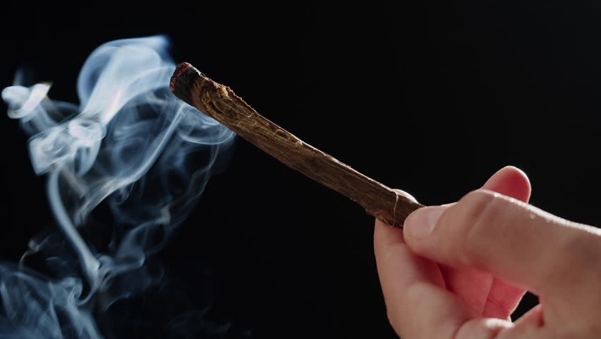 Licorice roots close-up. Herbal detox tea or aroma stick for spa meditation. 