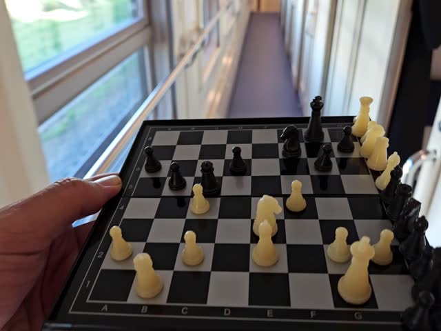 Person is holding a chess board with a black and white checkered pattern. The board has a total of 16 pieces, including 8 pawns, 2 rooks, 2 knights, 2 bishops, and 2 queens in railroad train wagon cor