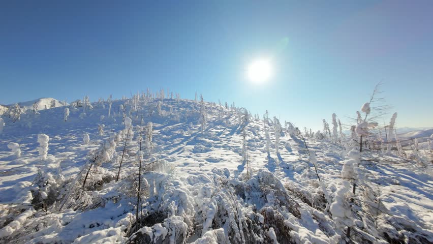 Experience the breathtaking beauty of a winter wonderland as dazzling sunlight bathes a pristine, snow-covered landscape with frosted trees reaching toward the sky, creating a tranquil atmosphere.