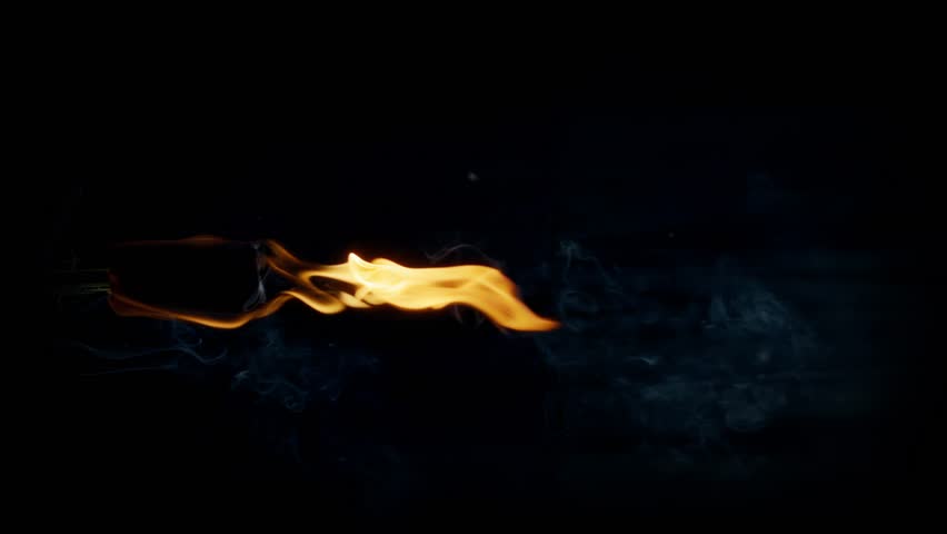 Shutterstock Video