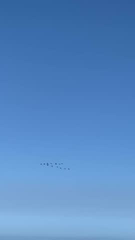 Flight of birds in V formation approaching the beach