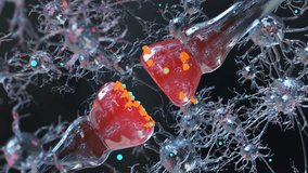 neurotransmitter release mechanisms. Neurotransmitters are packaged into synaptic vesicles transmit signals from a neuron to a target cell across a synapse. opioids, Acetylcholine release, 3d render - Powered by Shutterstock - Get 15% off with code: PIKWIZARD15