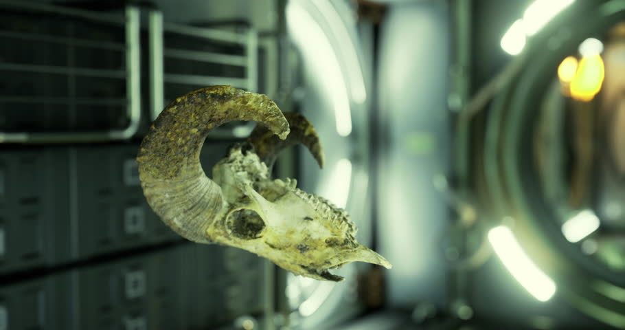 A ram skull drifts freely in the international space stations zero gravity environment.