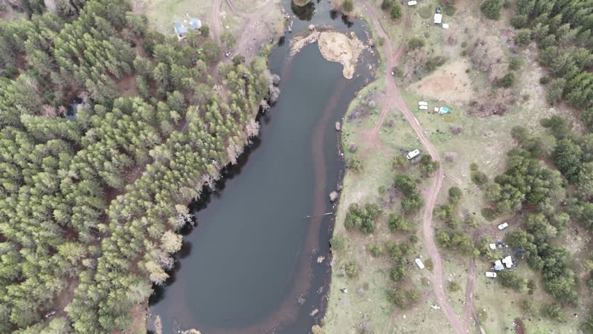 Lake and forest are intertwined, green nature and beautiful weather