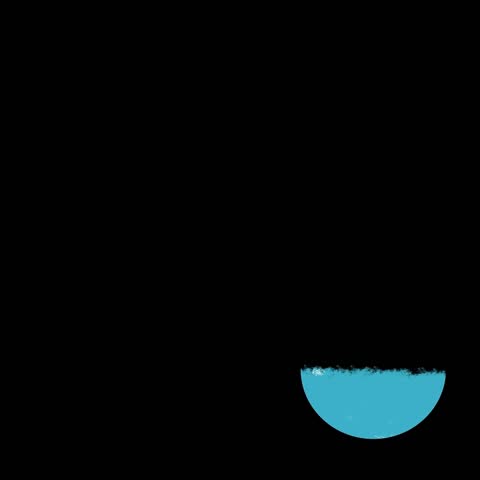 Shutterstock Video