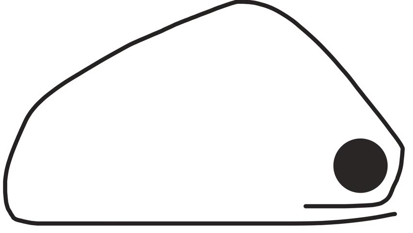 On the screen, the part of the animal with the large eye trembles or moves, imitating a frame.