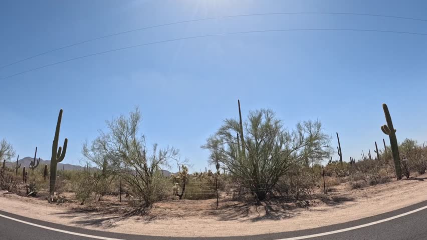 Visiting Saguaro National Park Near Tucson Arizona, Views of Sonoran Desert and Cactus from Car Window