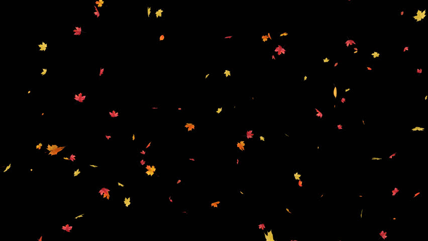 Falling maple leaves autumn drift. 3D render. Maple leaves gently falling with alpha transparency.