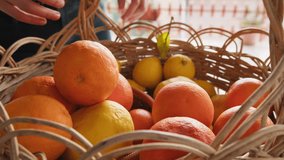 Choosing the Best Oranges And Lemon Fruit for Preparing a Typical Dessert - Powered by Shutterstock - Get 15% off with code: PIKWIZARD15