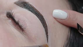 Close-up of a beautician applying eyebrow tint with a precision brush, shaping the brow with dye for a clean and defined look during a beauty treatment.
 - Powered by Shutterstock - Get 15% off with code: PIKWIZARD15