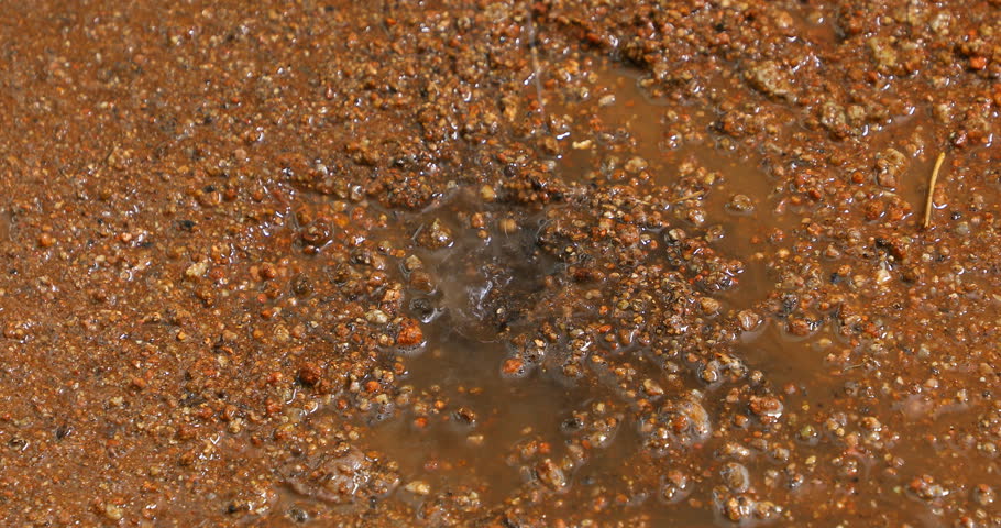 Rain water running on Mud road