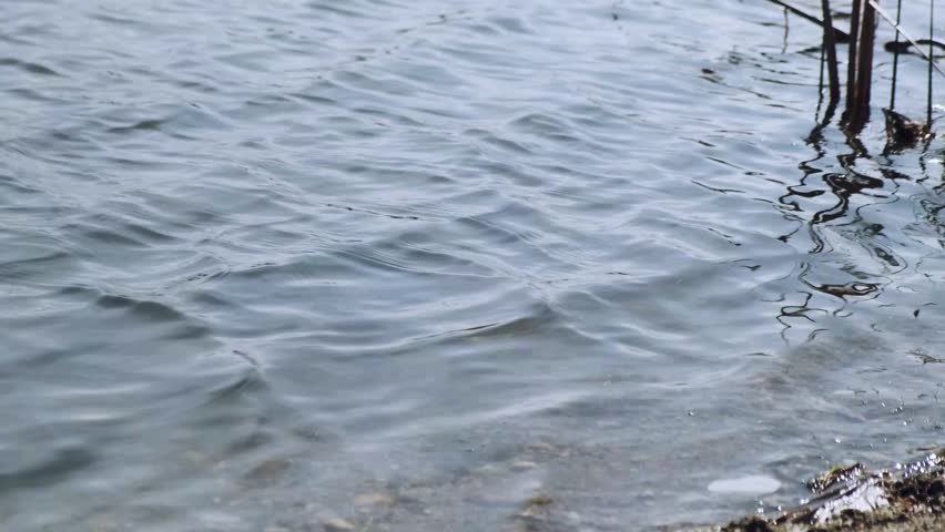 A dynamic lake scene with splashing water as someone throws stones into the waves. Ripples and droplets catch the sunlight, creating a mesmerizing, energetic moment in nature’s peaceful surroundings.