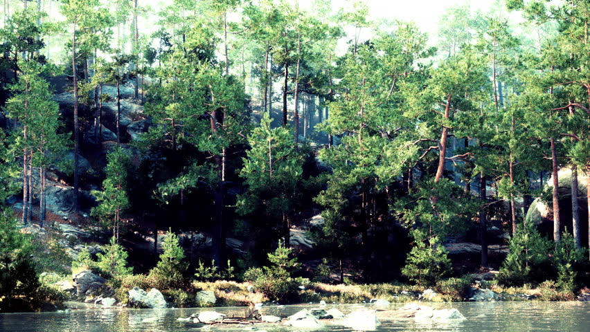A body of water surrounded by trees and rocks