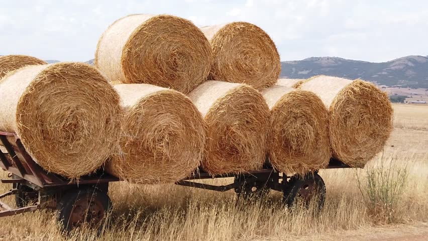 Old Cart Loaded with Hay or Straw Rolls in La Mancha with Gentle Camera Movement - 1041
